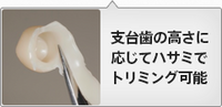 140130ダイレクトクラウン.png