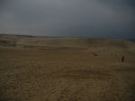 DSCN024101.jpg